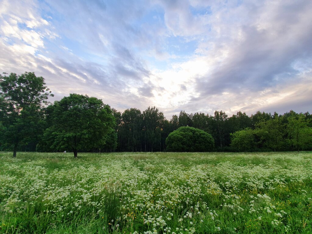 Пискаревский Парк Фото