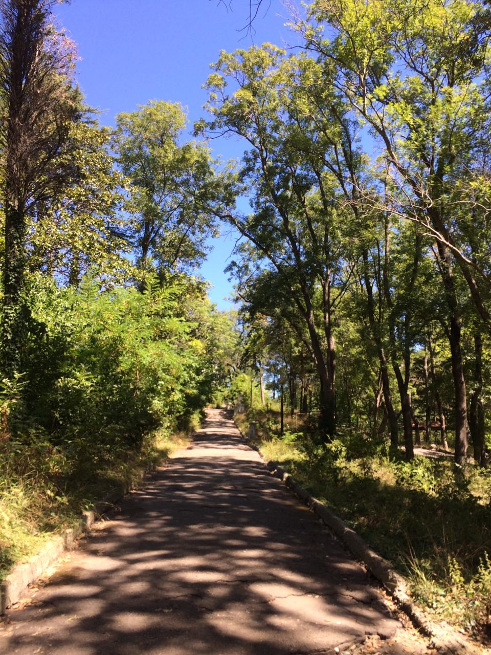 Фото Галина-чайка