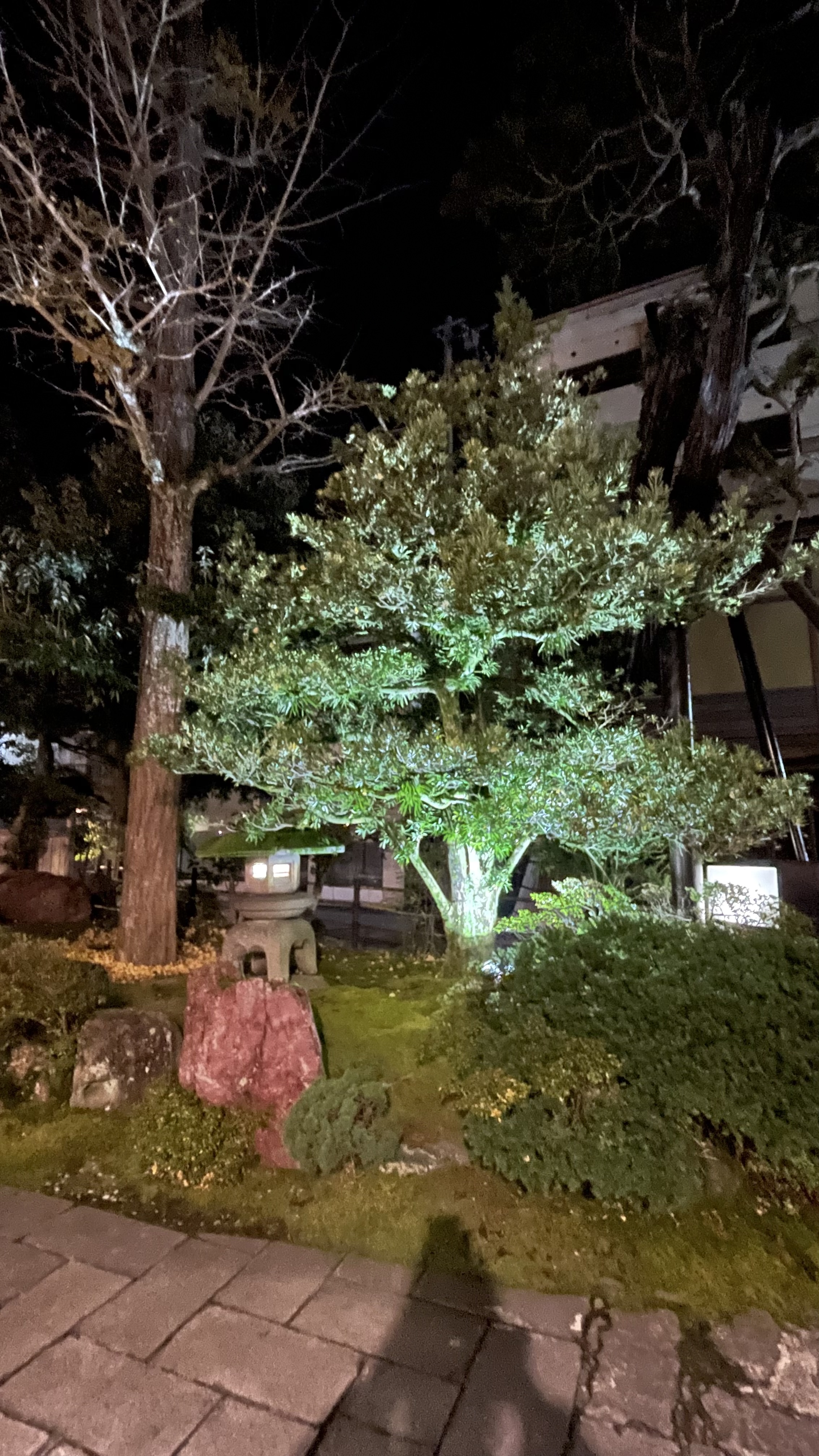 Фото Nishiyama Onsen Keiunkan