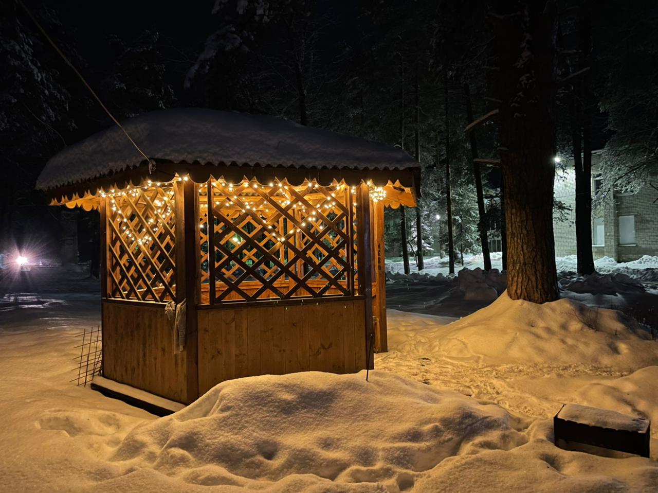 Фото Сосновый Бор