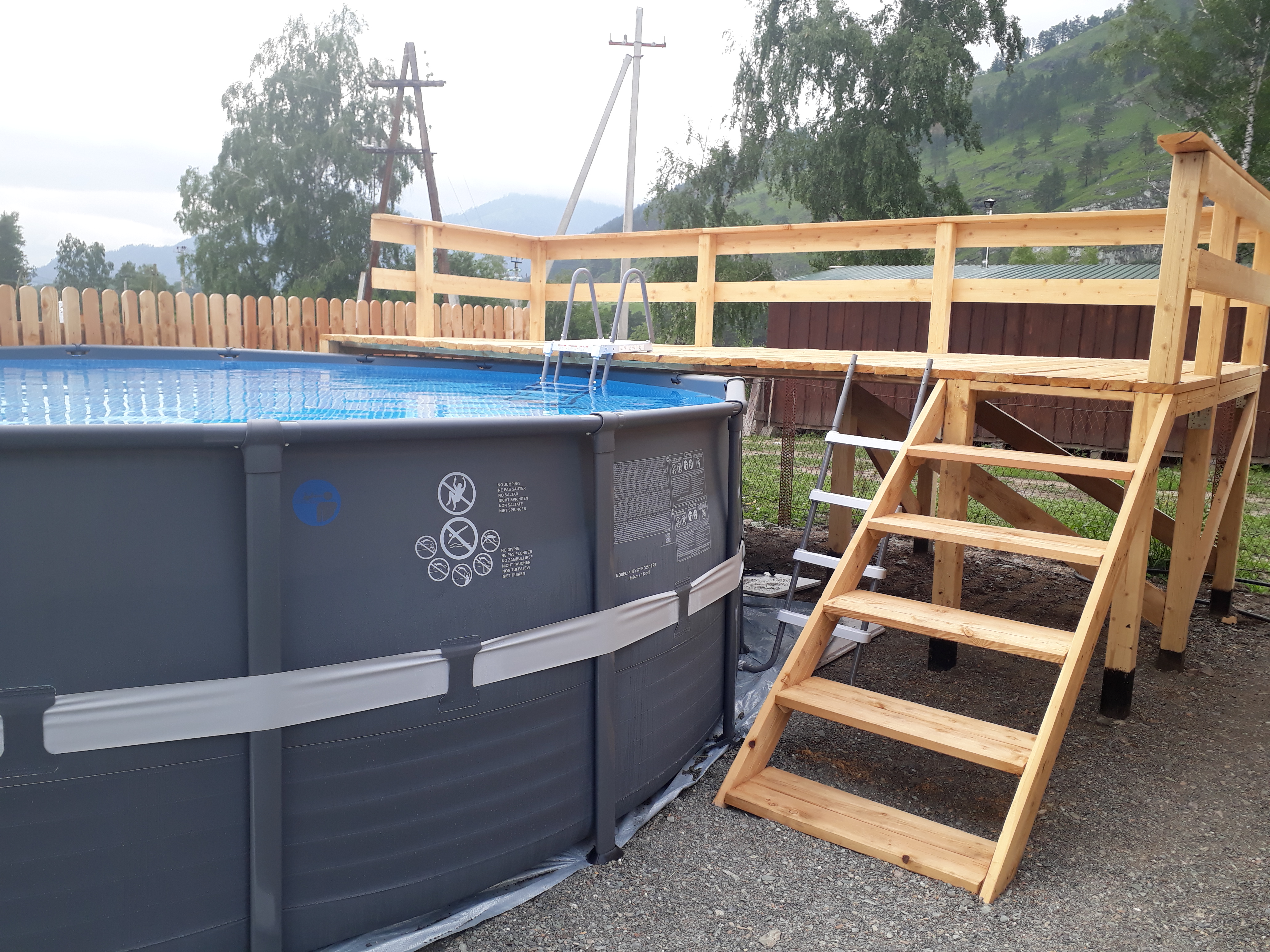 Фото Золотой медведь