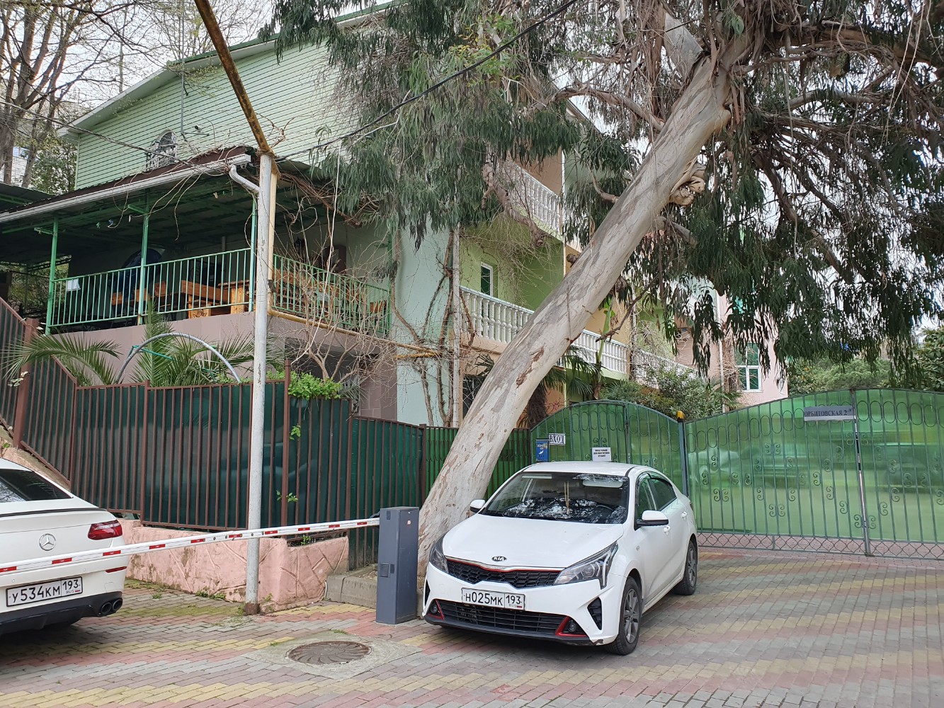 Фото Спутник