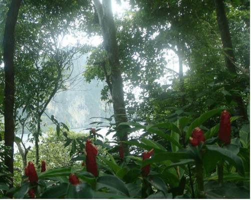 Фото Railay Garden View Resort