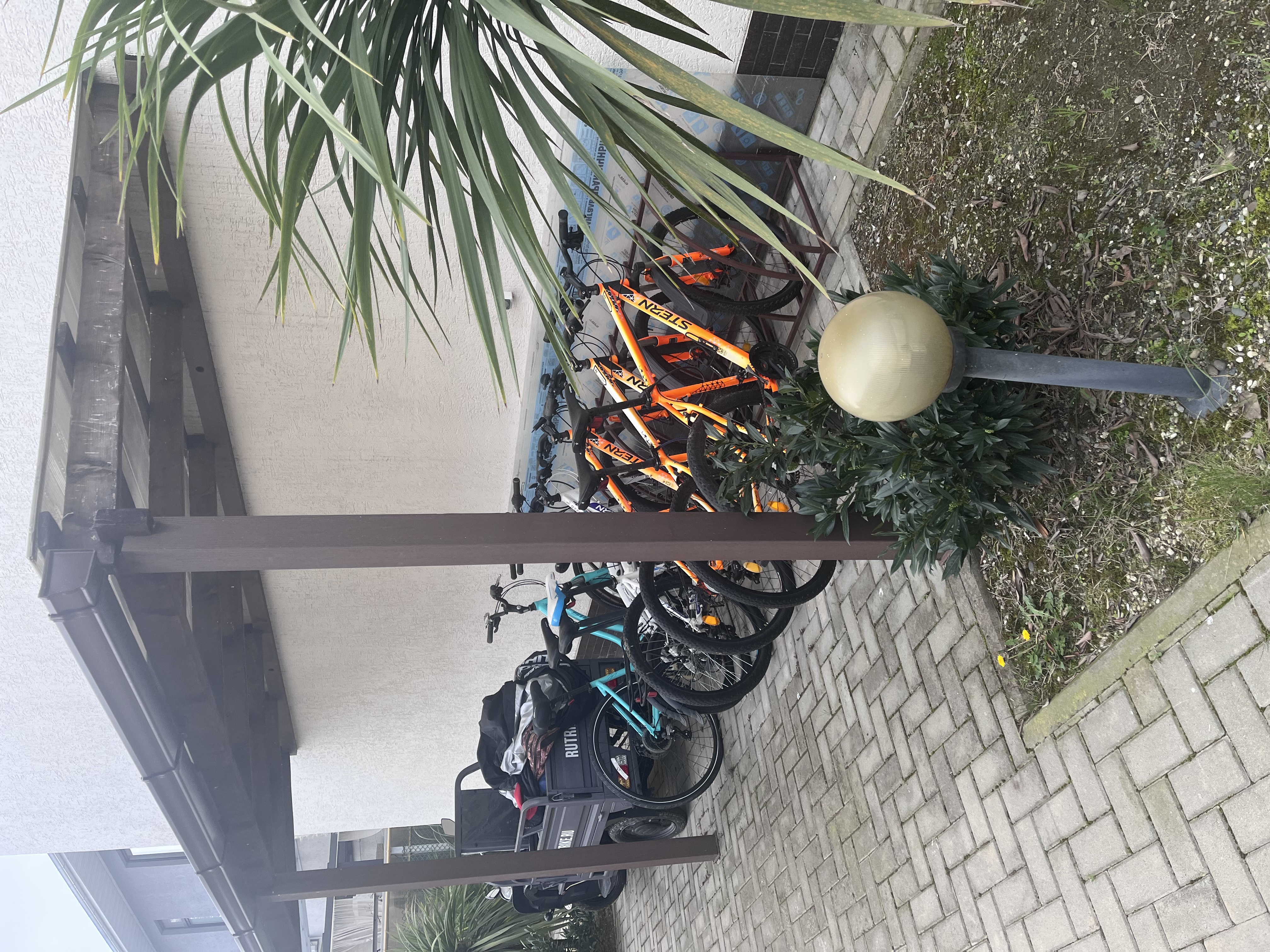 Фото Шоколад