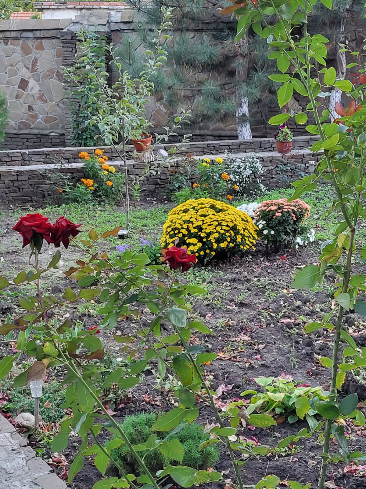 Фото Сказка