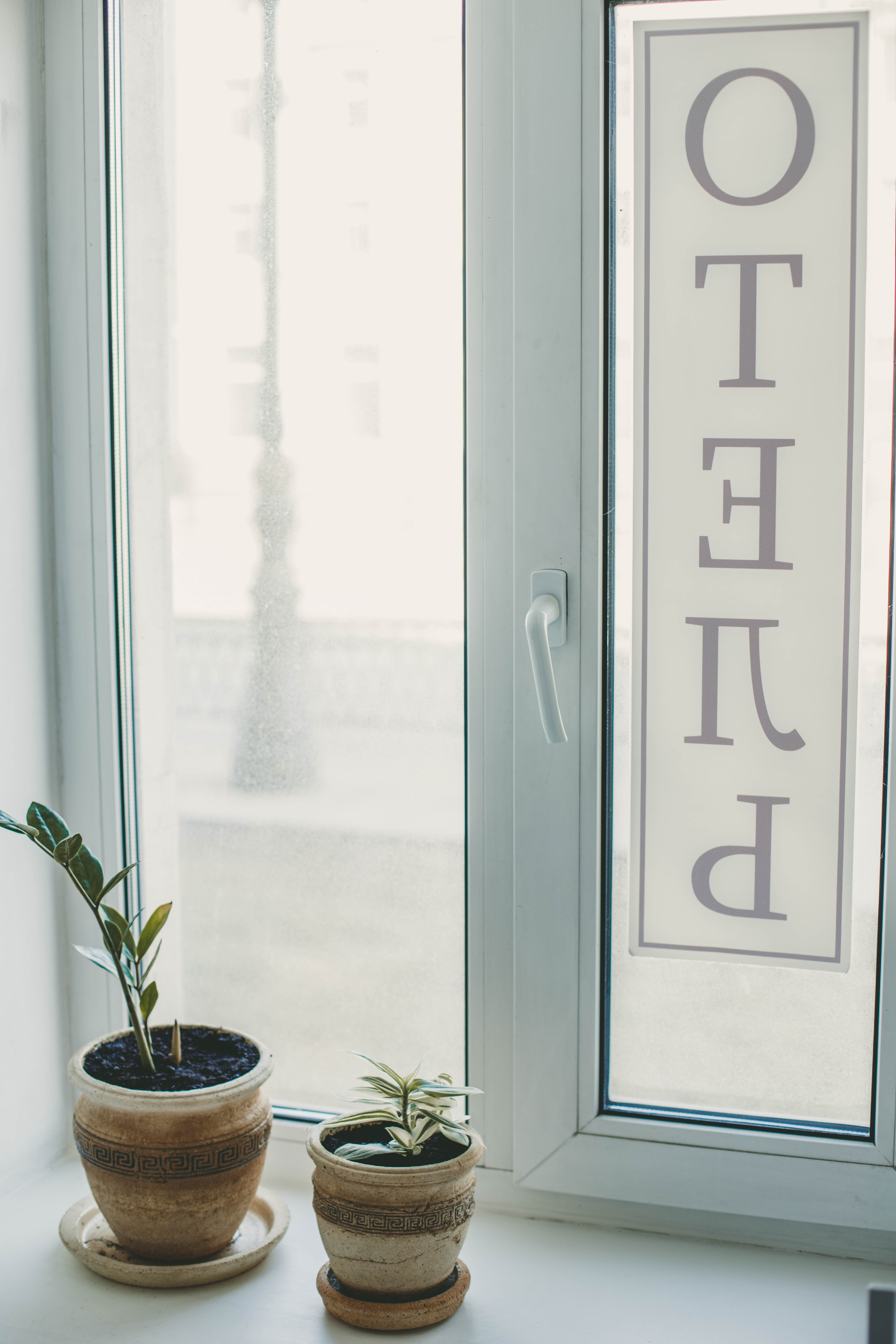 Фото Потёмкин на Шпалерной