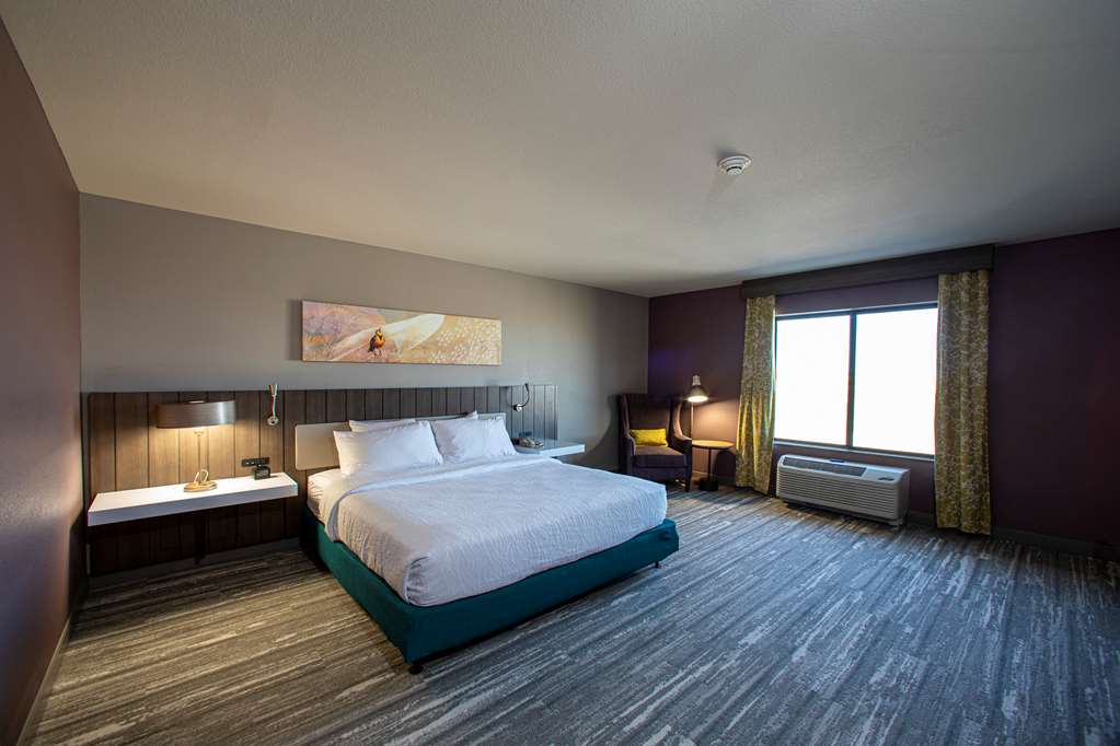 Фото Hilton Garden Inn Rapid City