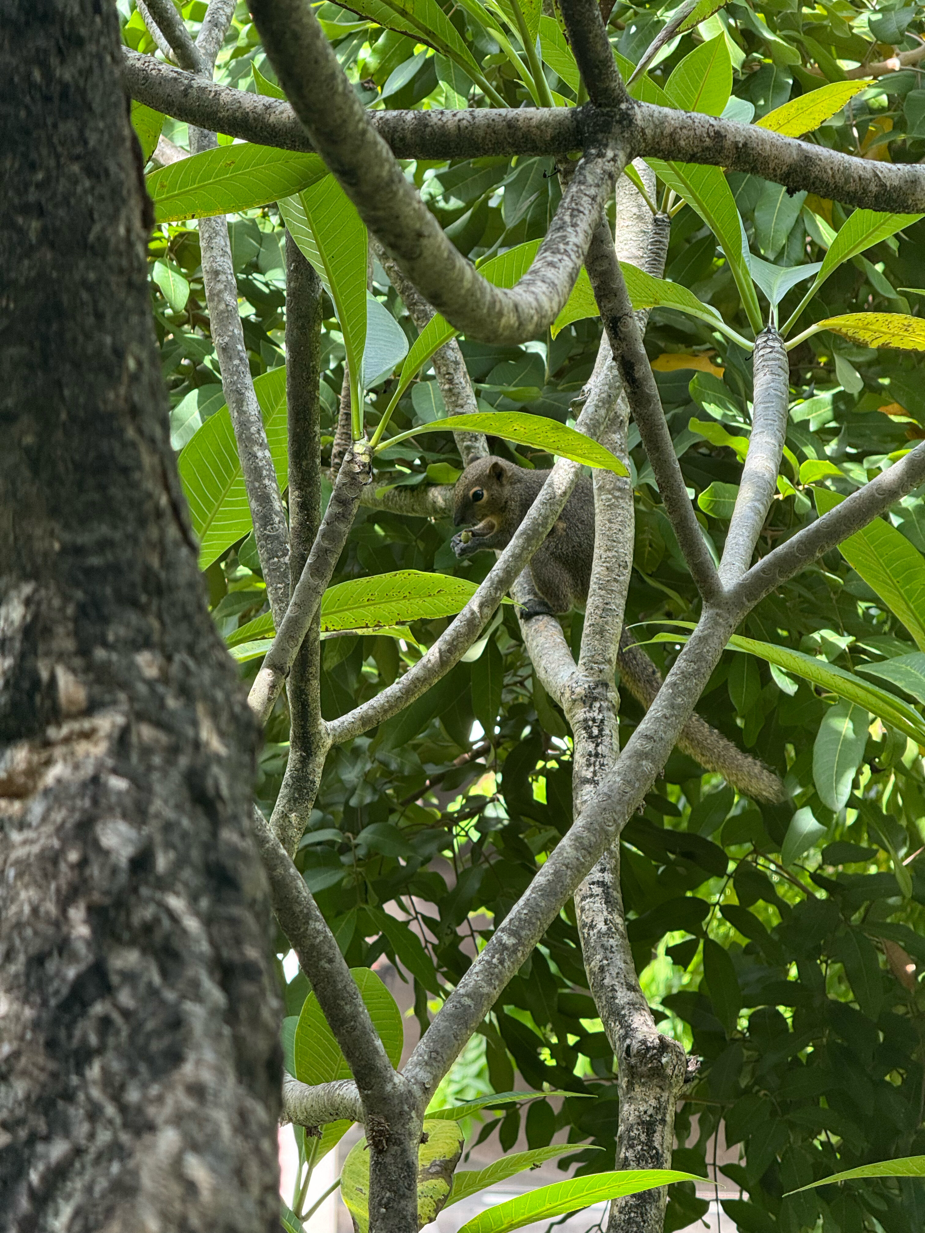 Фото Bintang Bali Resort