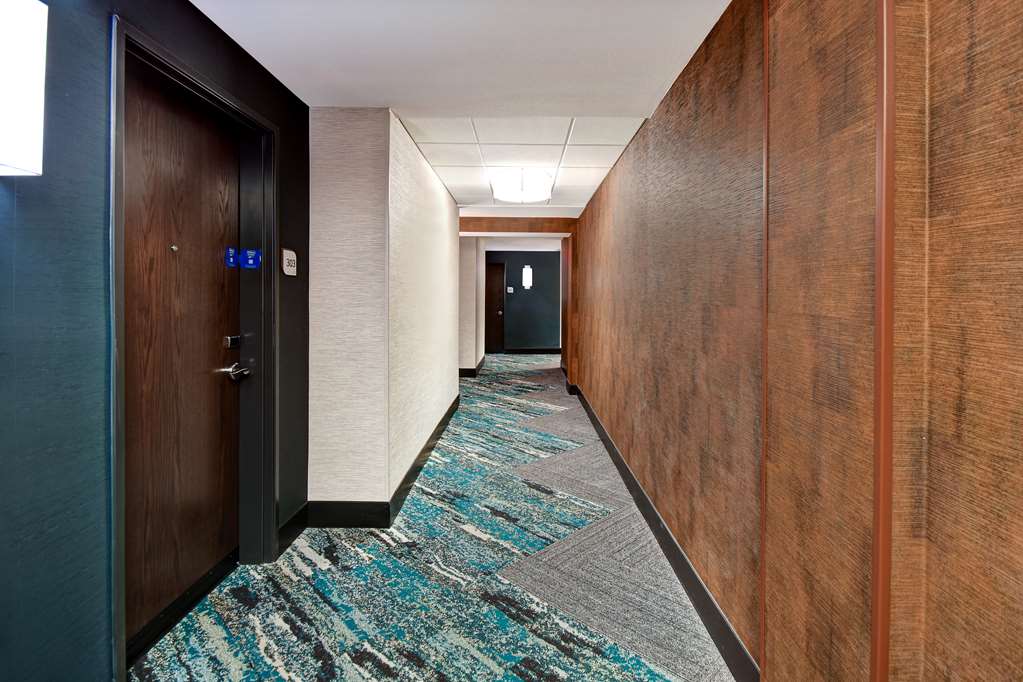 Фото Home2 Suites by Hilton Kalamazoo Downtown