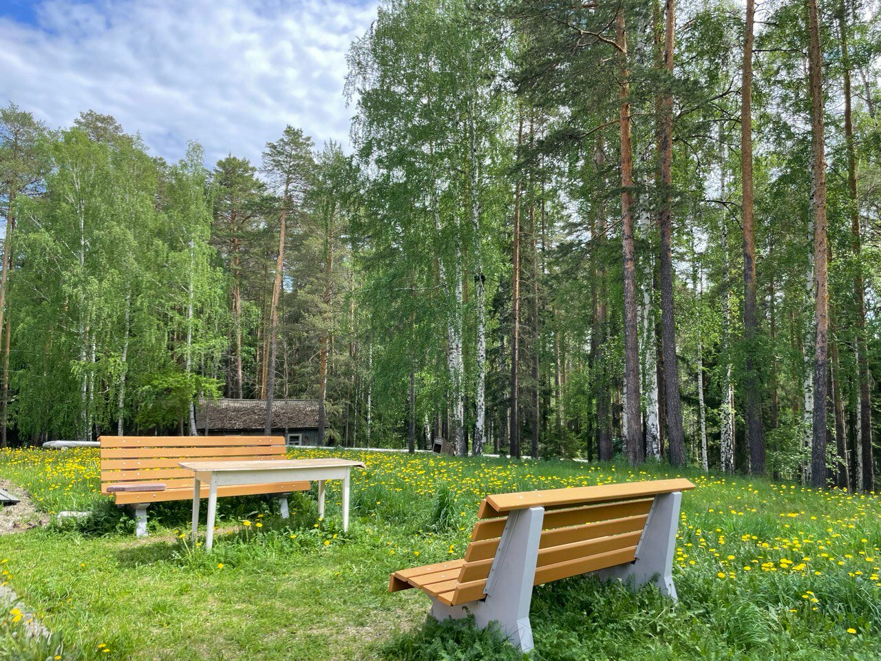 Фото Энергетик