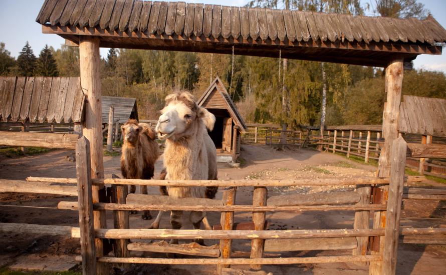 Фото Кантри Резорт