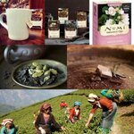 Organic cafe by Glossary (Volodymyrska Street, 40/2), restaurante