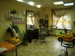 Salon krasoty Pektoral (Mykhaila Lomonosova Street, 83А), beauty salon