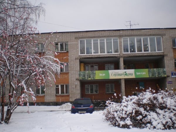 Гостиница Берёзовая Роща, Петрозаводск, фото