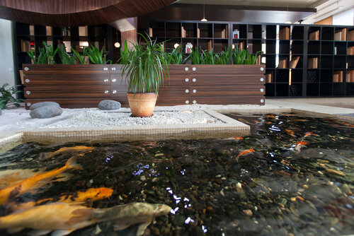 Гостиница Marins Park Hotel Новосибирск в Новосибирске