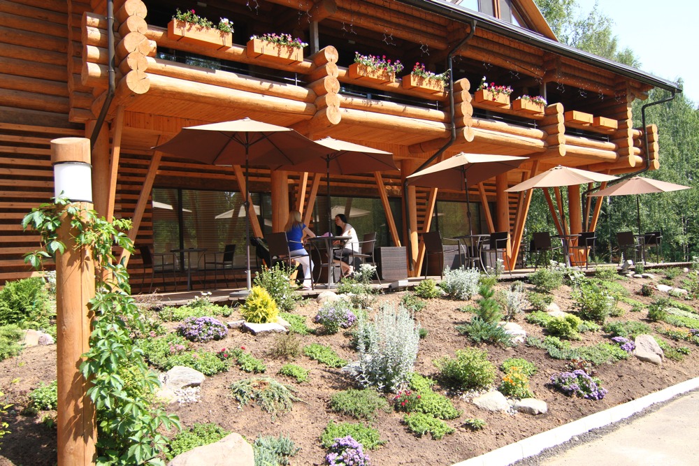 Фото Романов лес