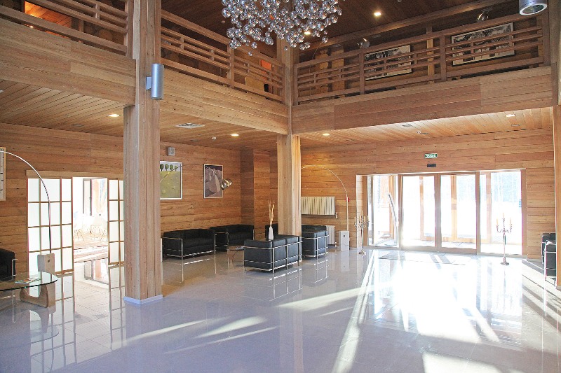 Фото Романов лес