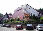 Karpaty (vulytsia Petrasha, 30), resort