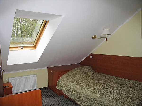 Фото Фламинго