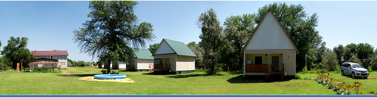 Фото Камышовый рай