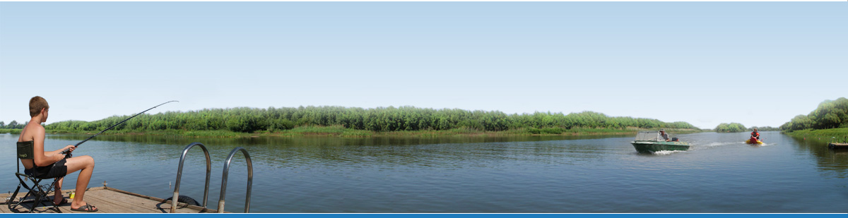 Фото Камышовый рай