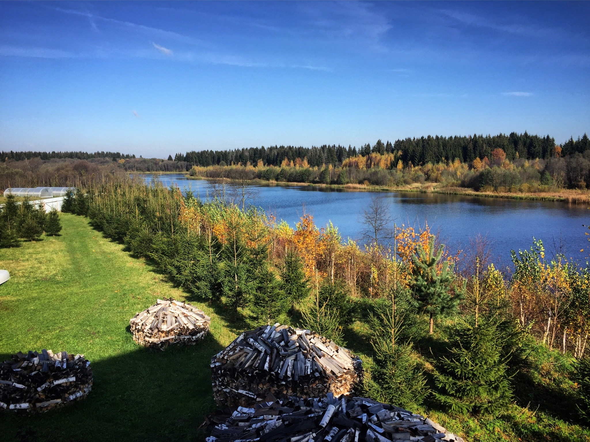 Фото Эль ранчо