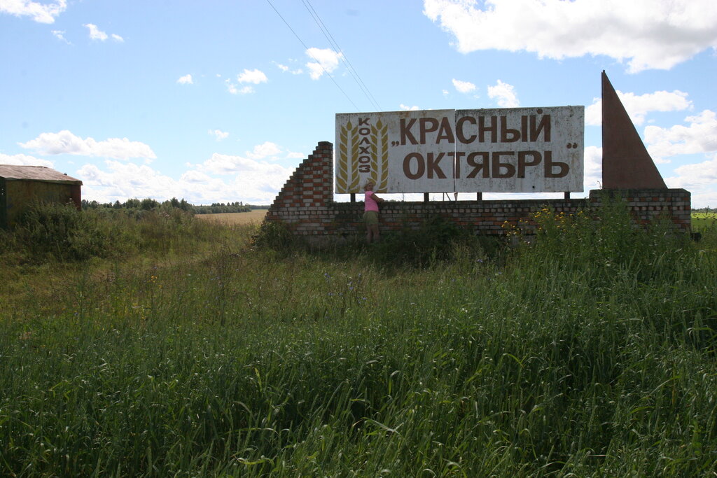 Волгоградская область жирновский район линево карта