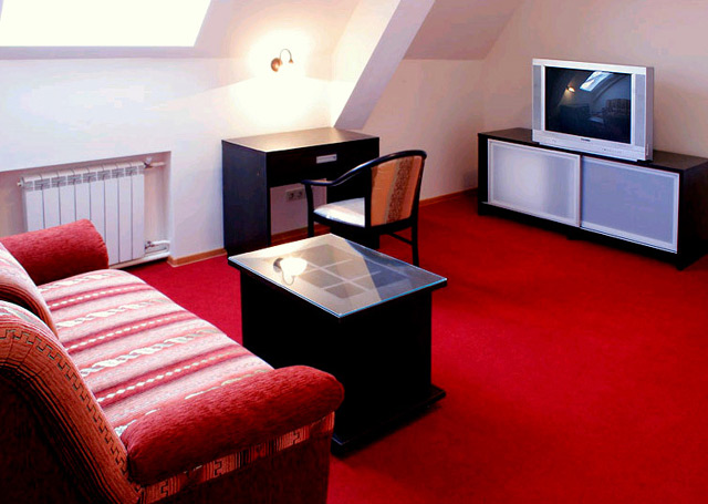 Фото Колибри