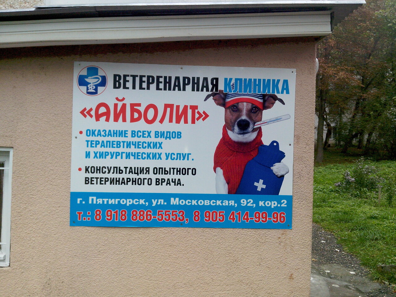 Карта ветеринарной клиники