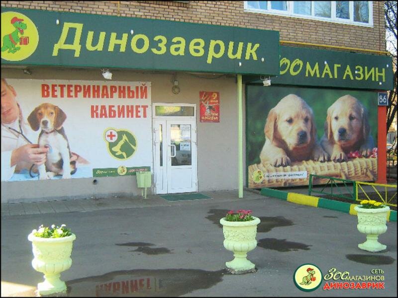 Динозаврик Магазин Для Животных В Москве