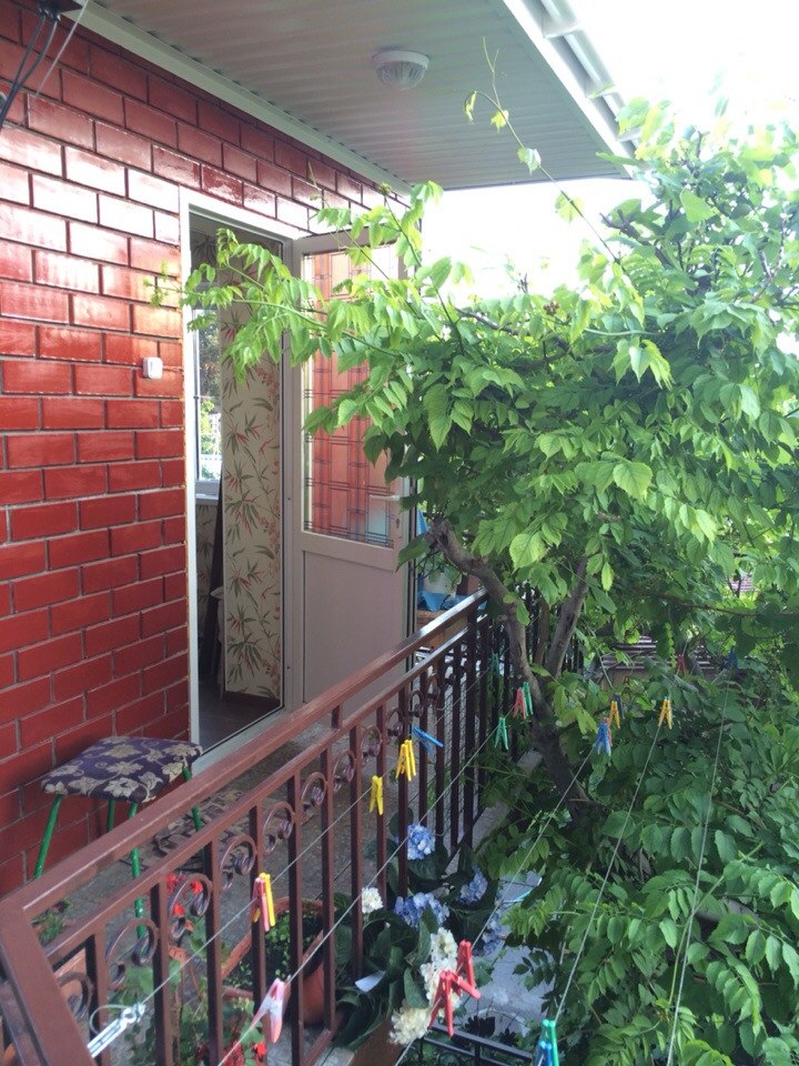 Фото У Людмилы