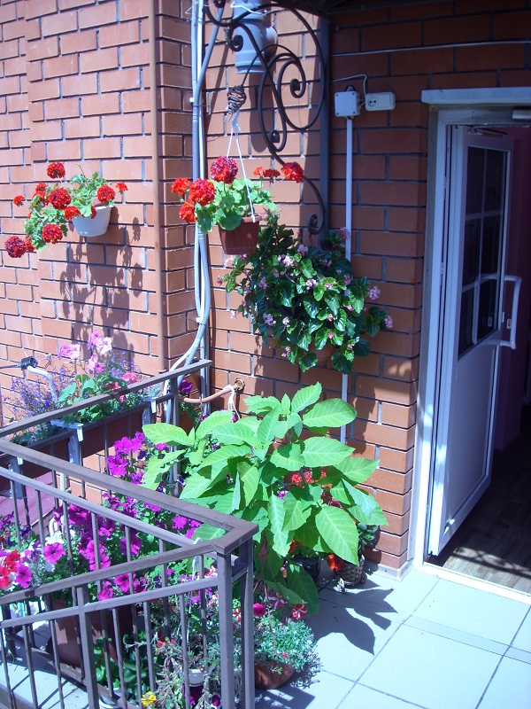 Фото У Людмилы