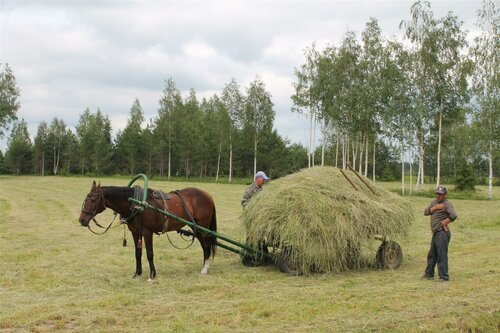 Гостиница Александровская Слобода в Тверской области