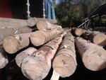 Rit (vulytsia Lermontova, 14), lumber