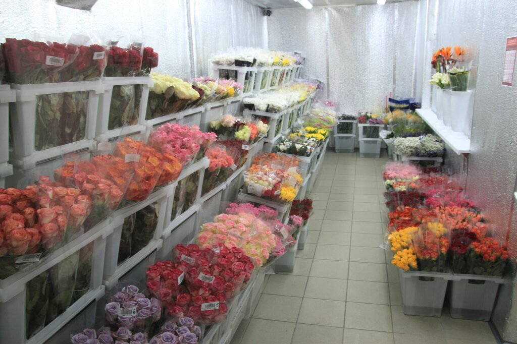 Сайты Магазины Цветов Нижний Новгород