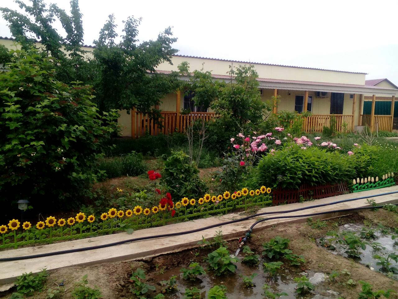 Фото отеля 3