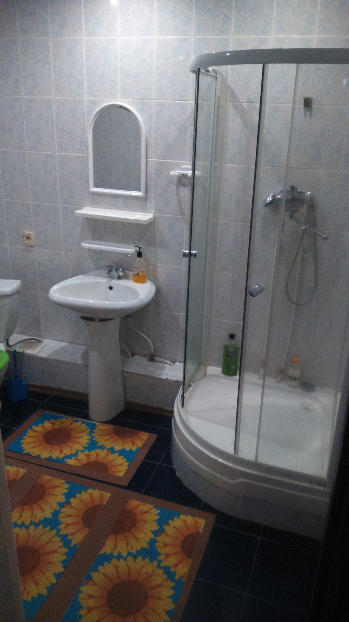 Фото Солнечная