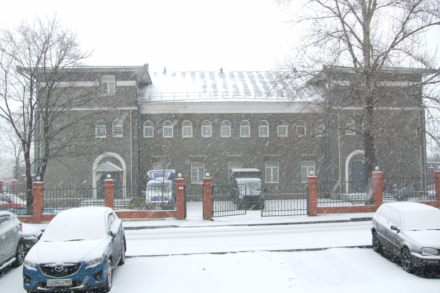 Фото Лакмус