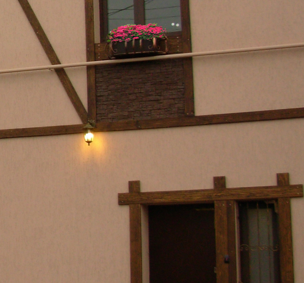 Фото Новое гнездо