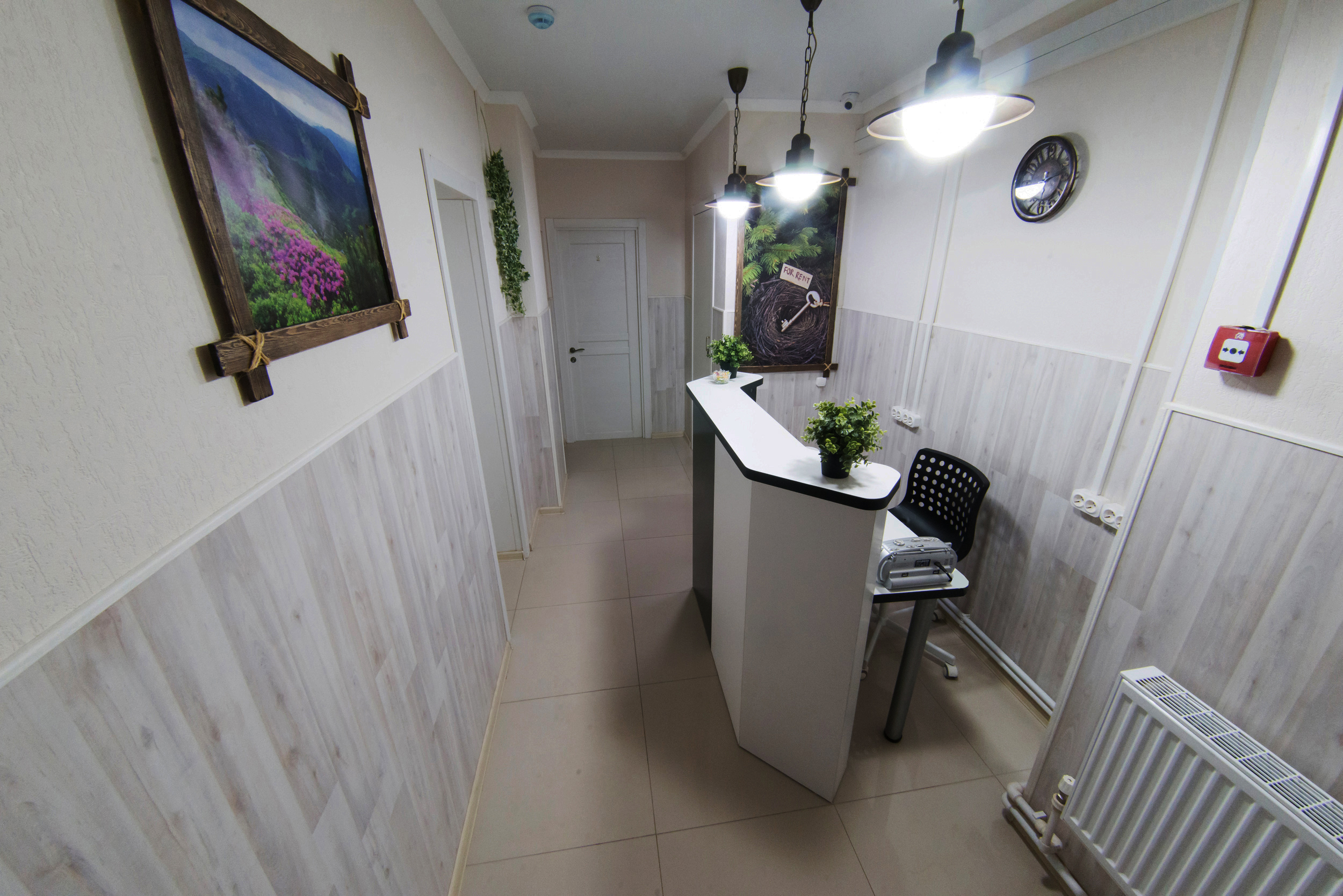 Фото Новое гнездо