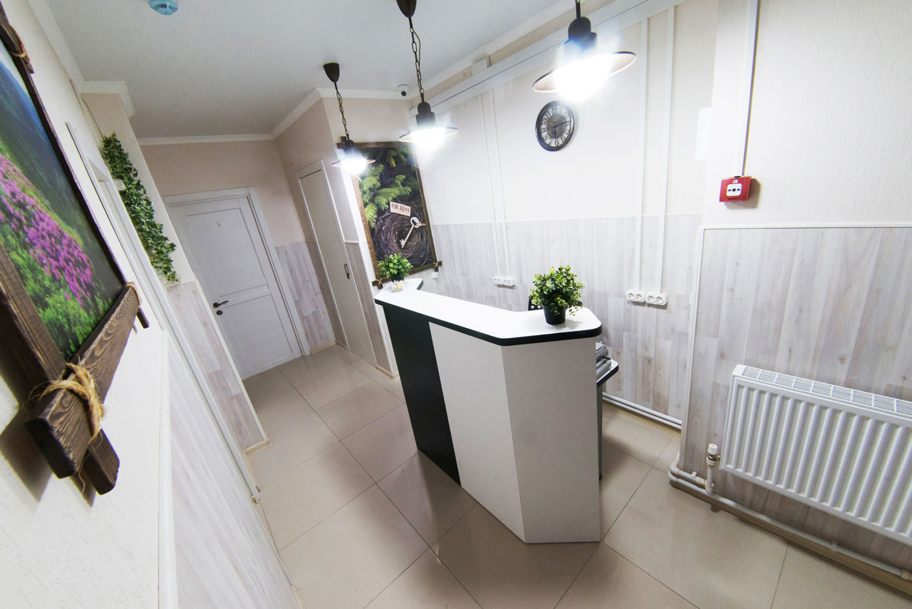 Фото Новое гнездо