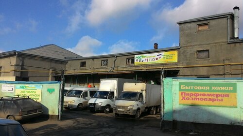 Жыныстық қатынас кезінде әйелдің анусы