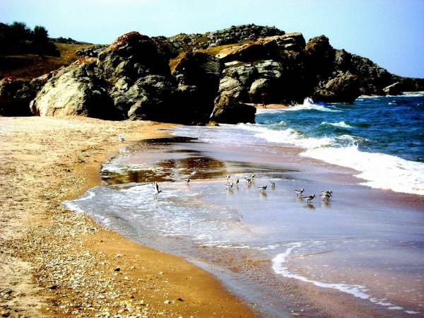 Фото Пансионат Визит