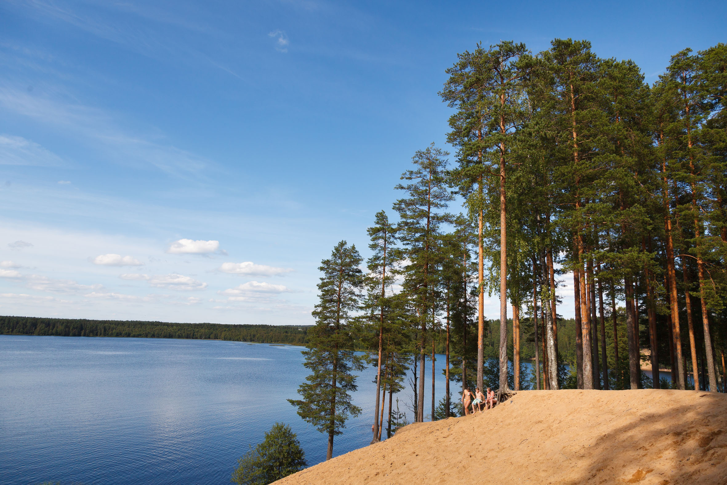 Фото Лесная Рапсодия