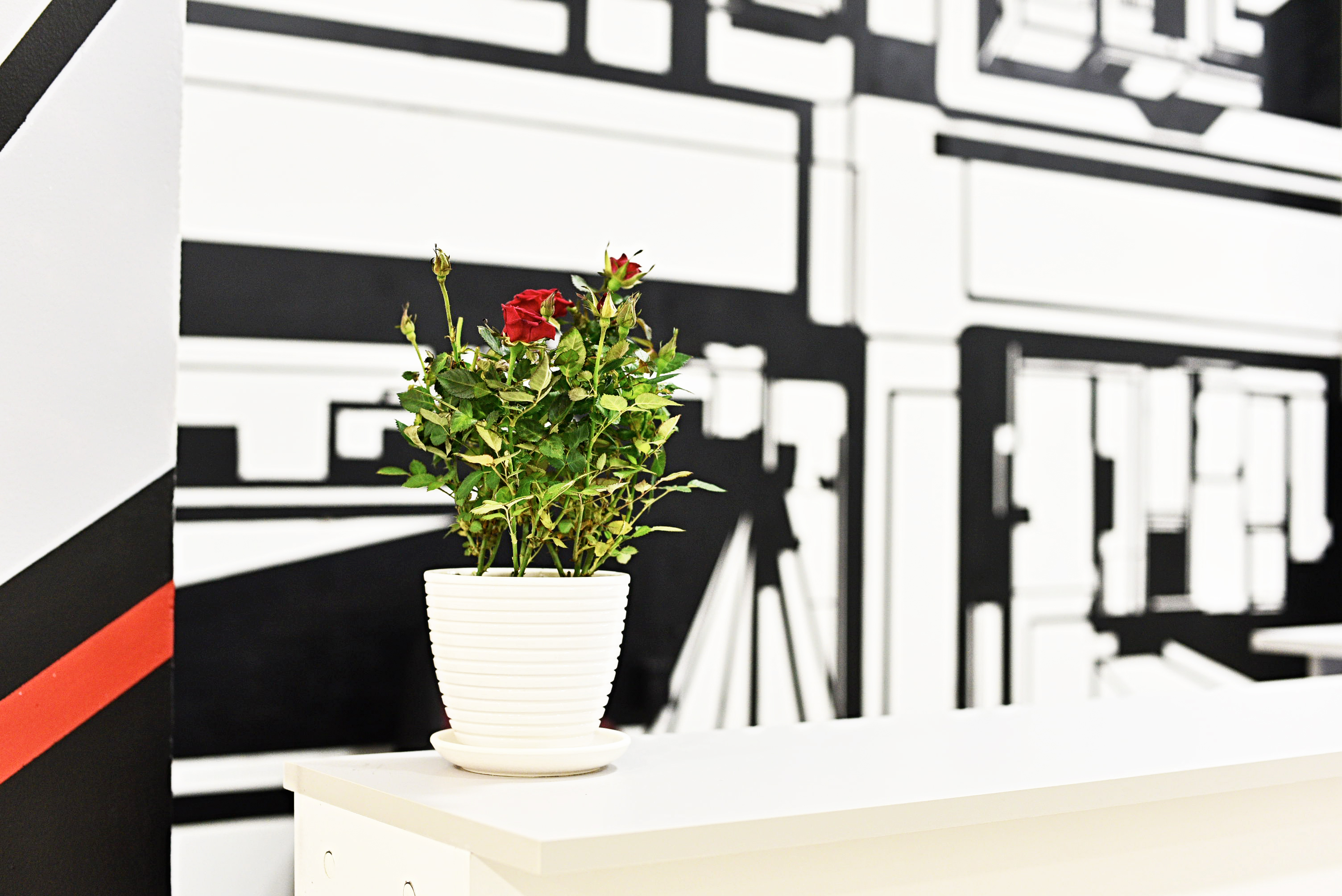 Фото Сити-Е