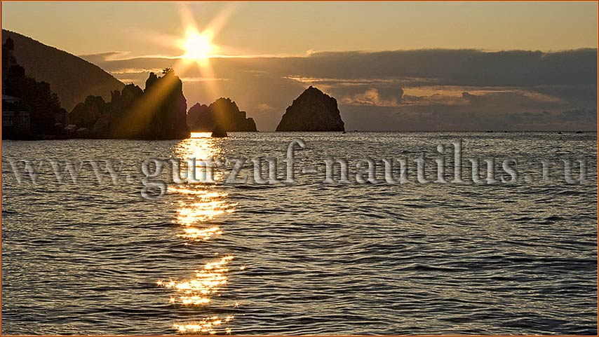 Фото Наутилус