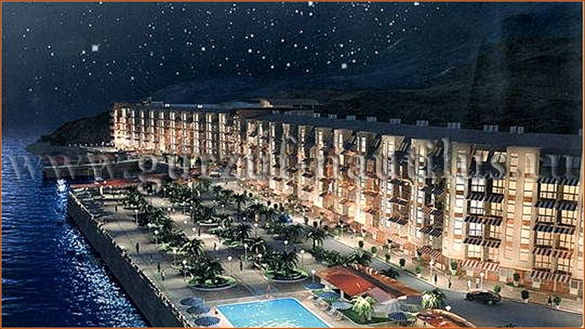 Фото Наутилус