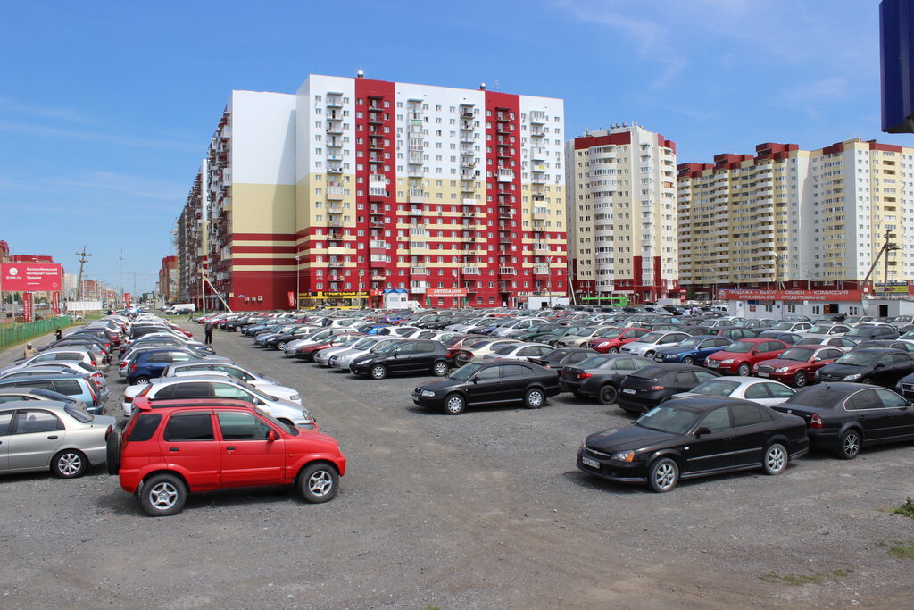 Car market Auto Fair, Tyumen, photo