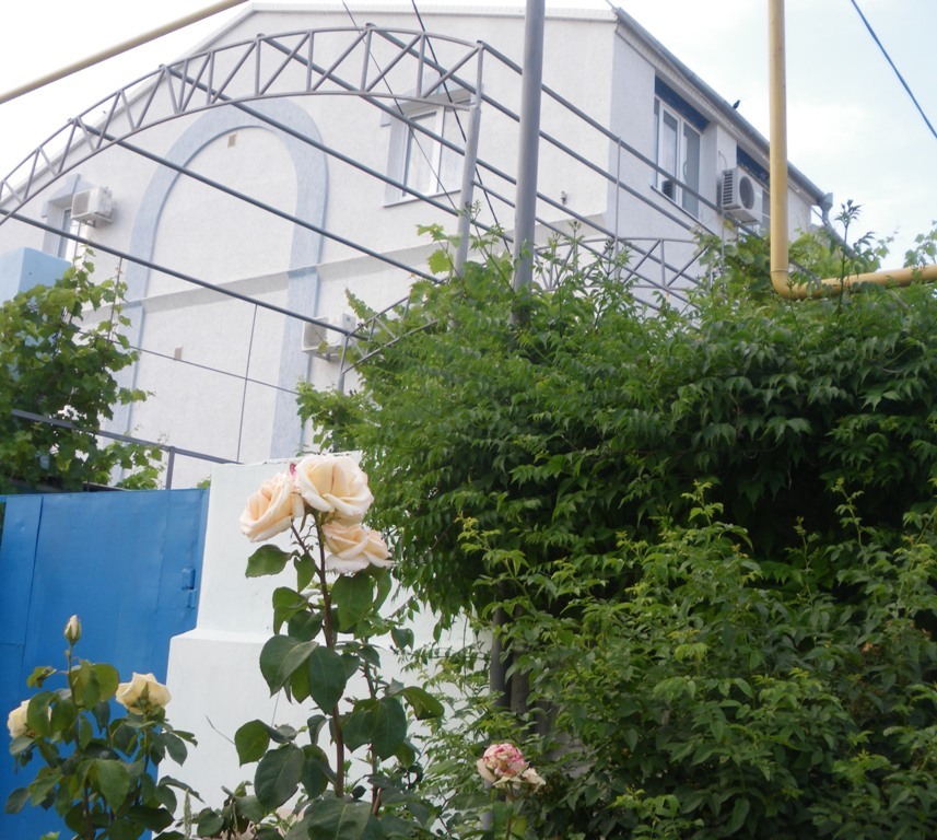 Фото Дольче Вита