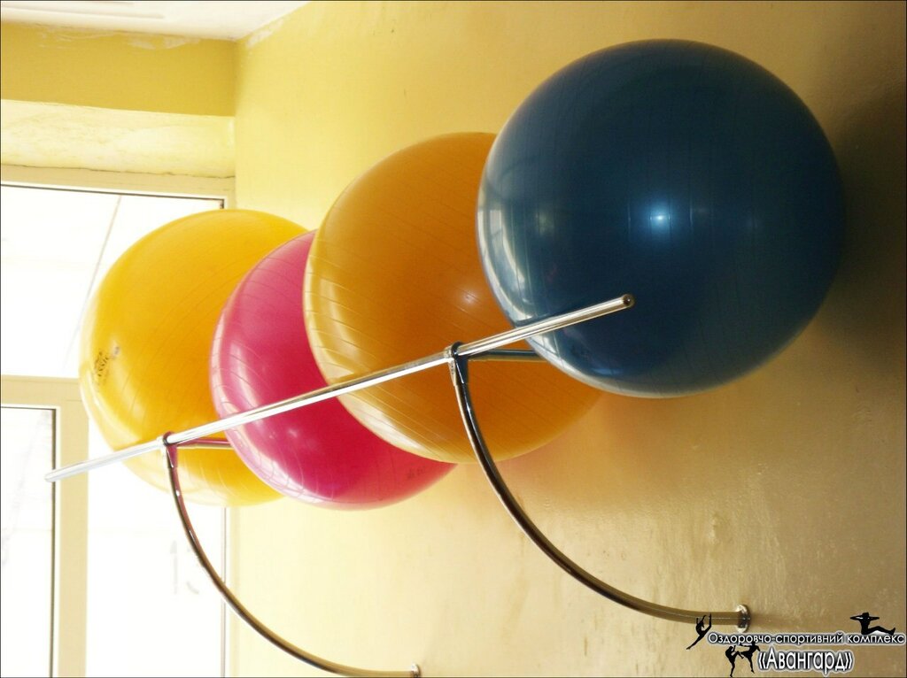 Sports center Ozdorovitelno-sportivny kompleks Avangard, Chernivtsi, photo